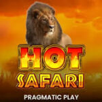 Hot Safari
