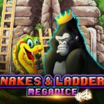 Snakes and Ladders Megadice